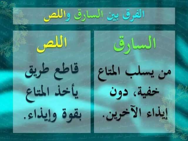 bntpal.com_147352511