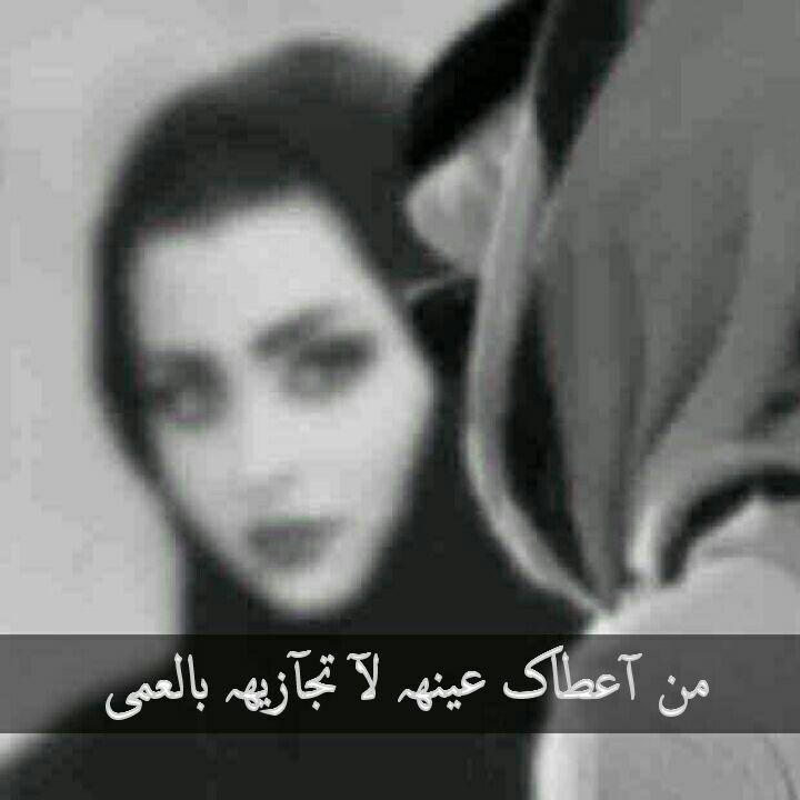   bntpal.com_147404043