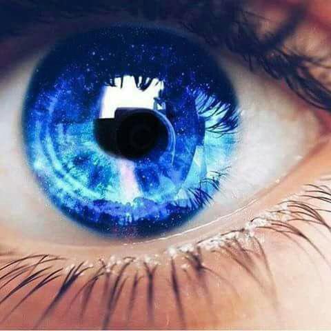   bntpal.com_147404043