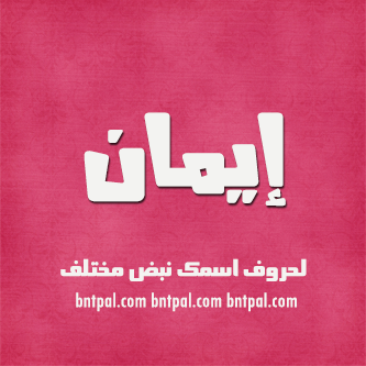 2017 2018 bntpal.com_147404328