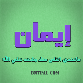 2017 2018 bntpal.com_147404328
