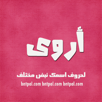 2017 2017 bntpal.com_147404915