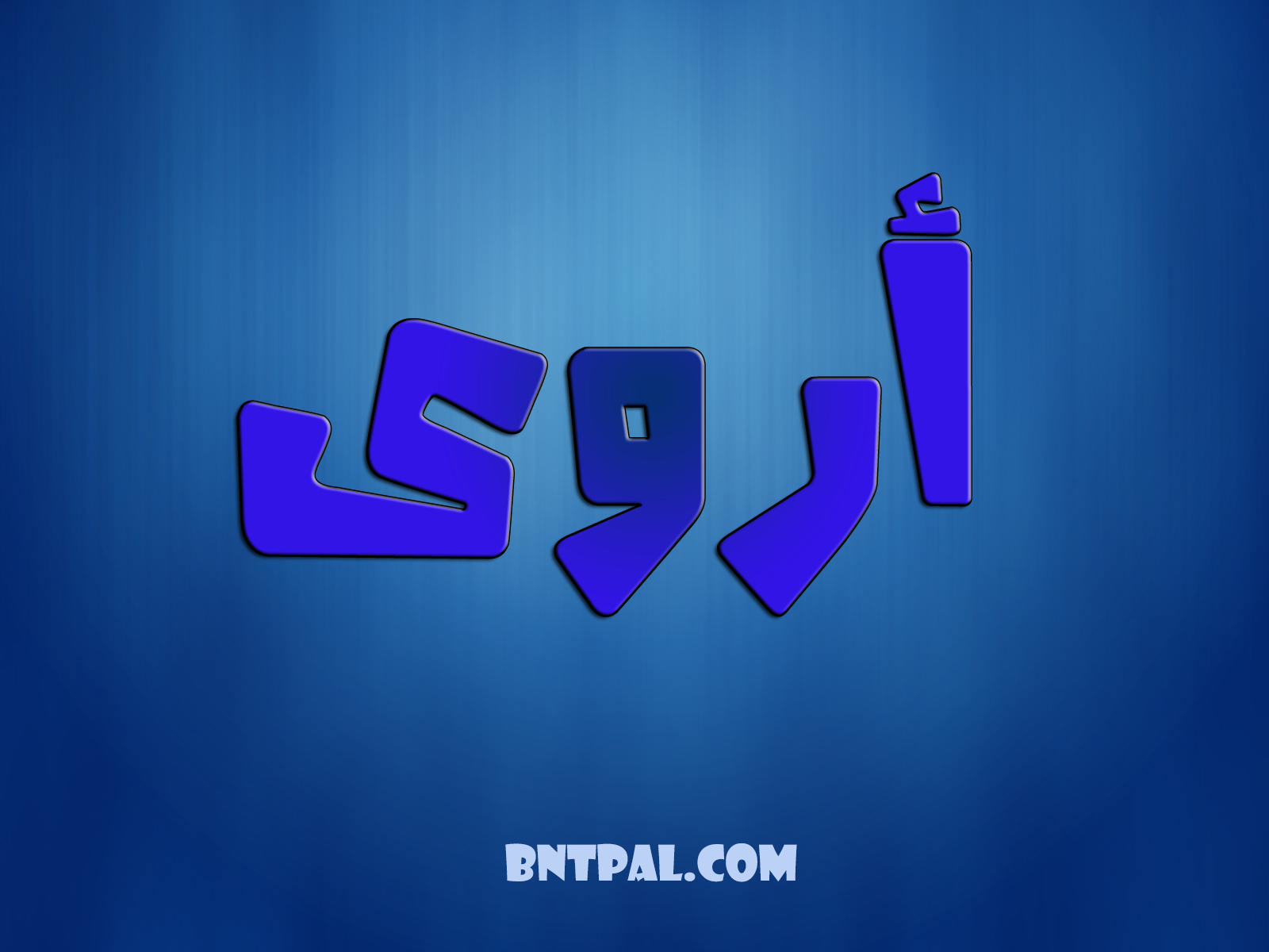 2017 2017 bntpal.com_147404915