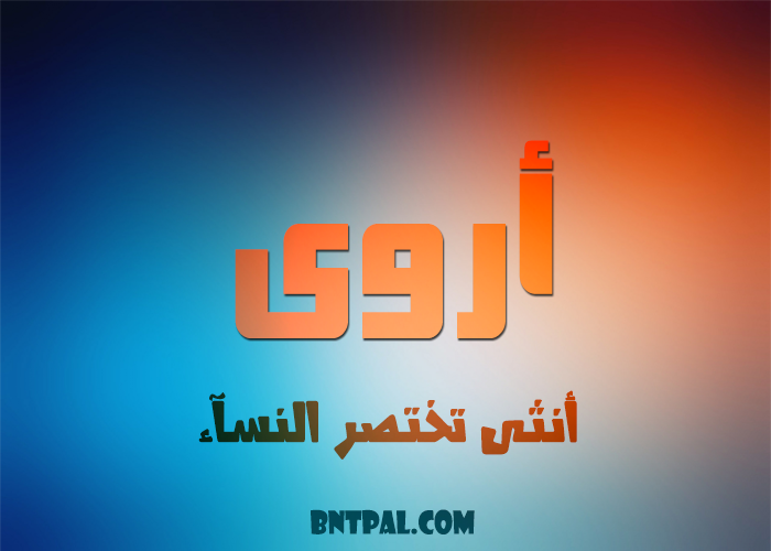 2017 2017 bntpal.com_147404915