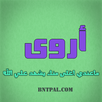 2017 2017 bntpal.com_147404915