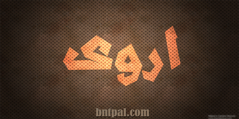 2017 2017 bntpal.com_147404915