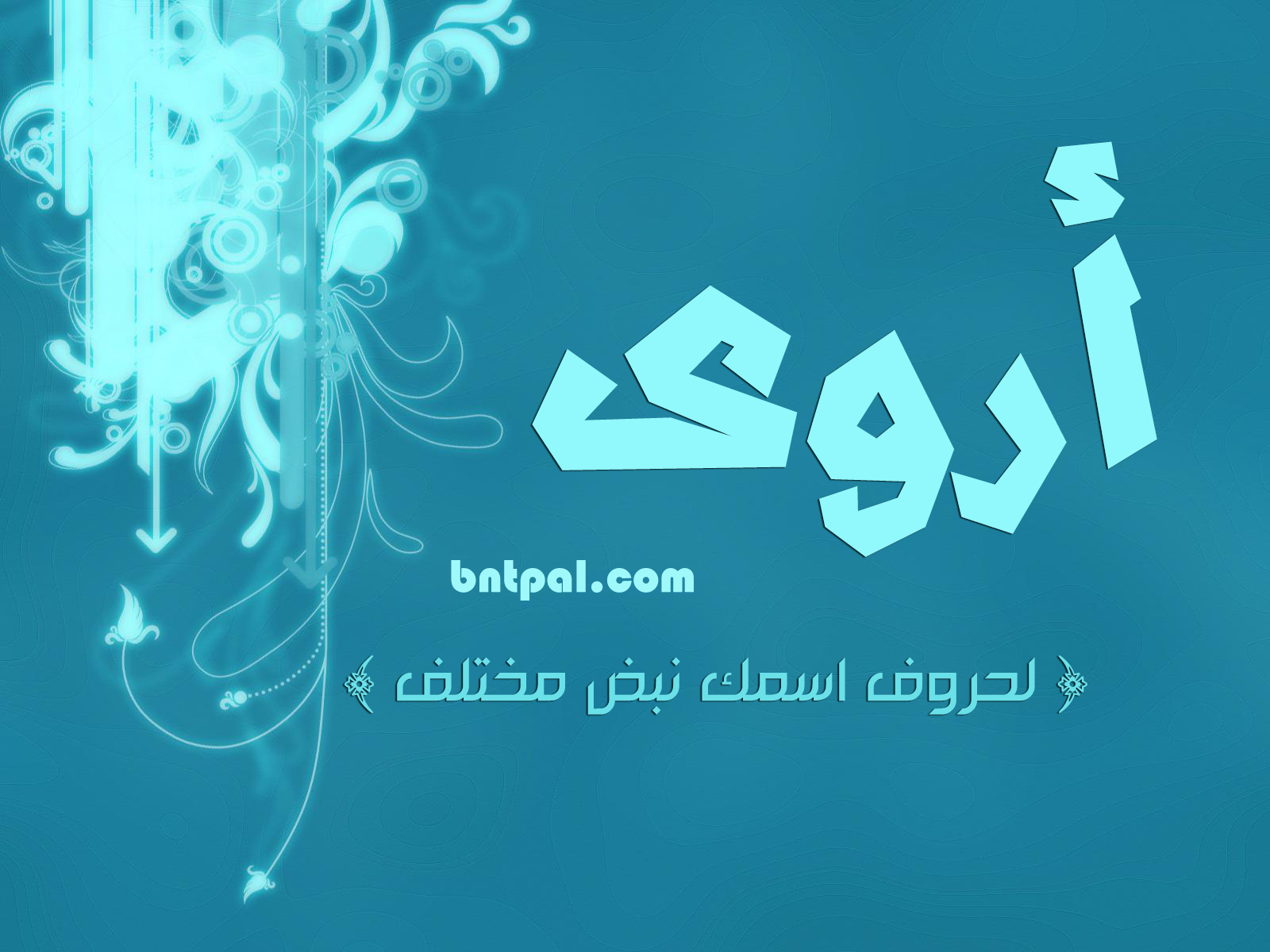 2017 2017 bntpal.com_147404915