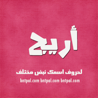 2017 2018 bntpal.com_147414577