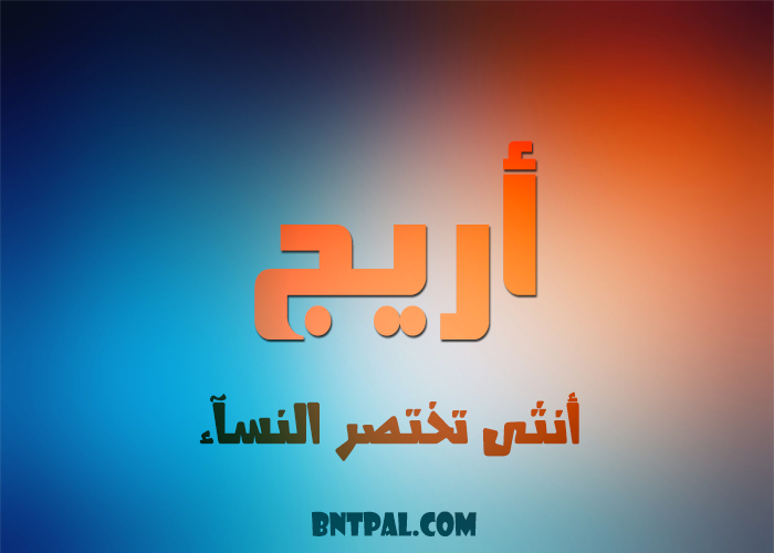 2017 2018 bntpal.com_147414577