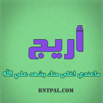 2017 2018 bntpal.com_147414577