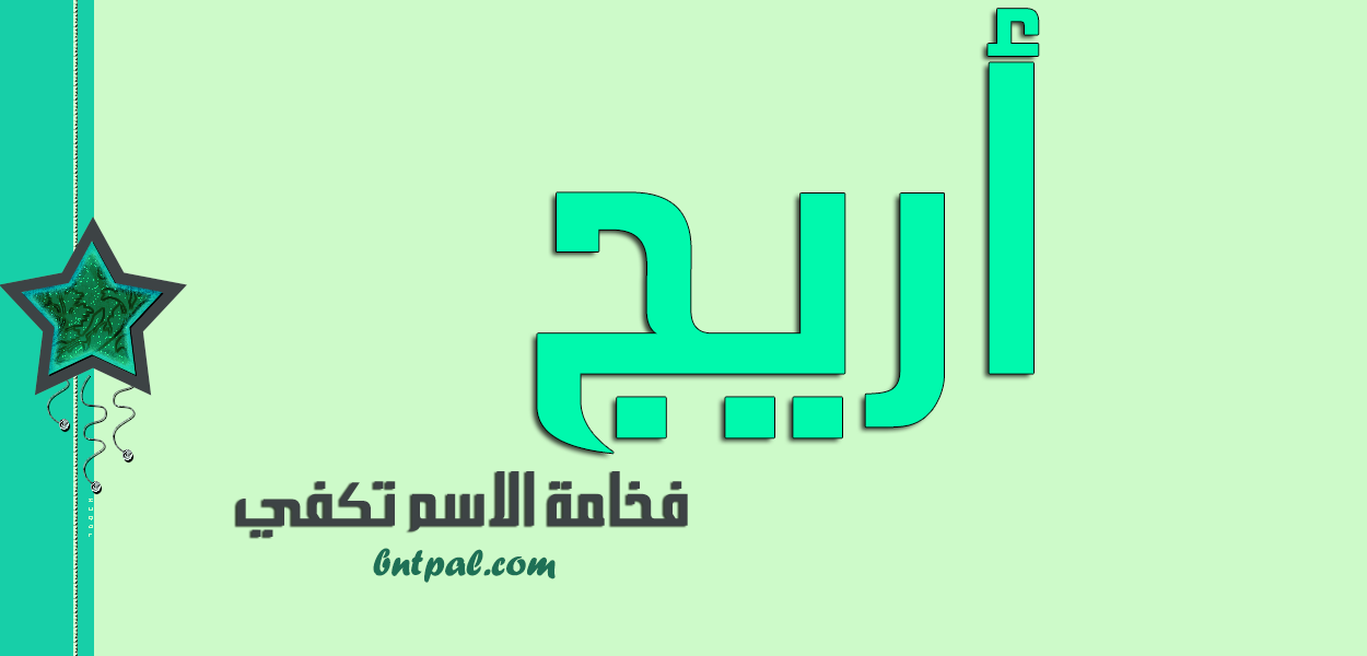 2017 2018 bntpal.com_147414577