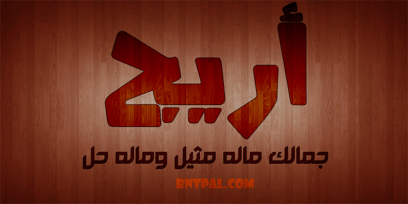 2017 2018 bntpal.com_147414577