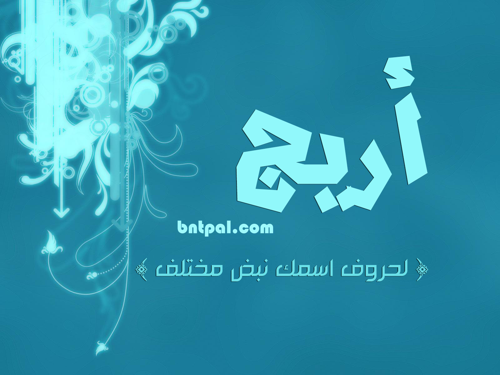 2017 2018 bntpal.com_147414577