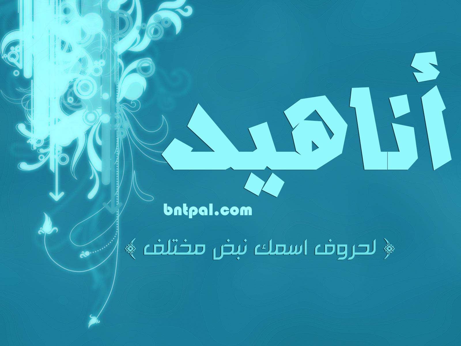 2017 2018 Anahed bntpal.com_147414615