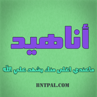 2017 2018 Anahed bntpal.com_147414615