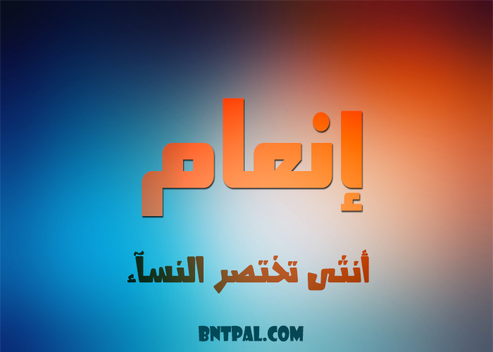 2017 2018 bntpal.com_147414690