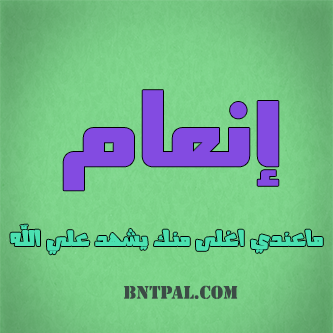 2017 2018 bntpal.com_147414690