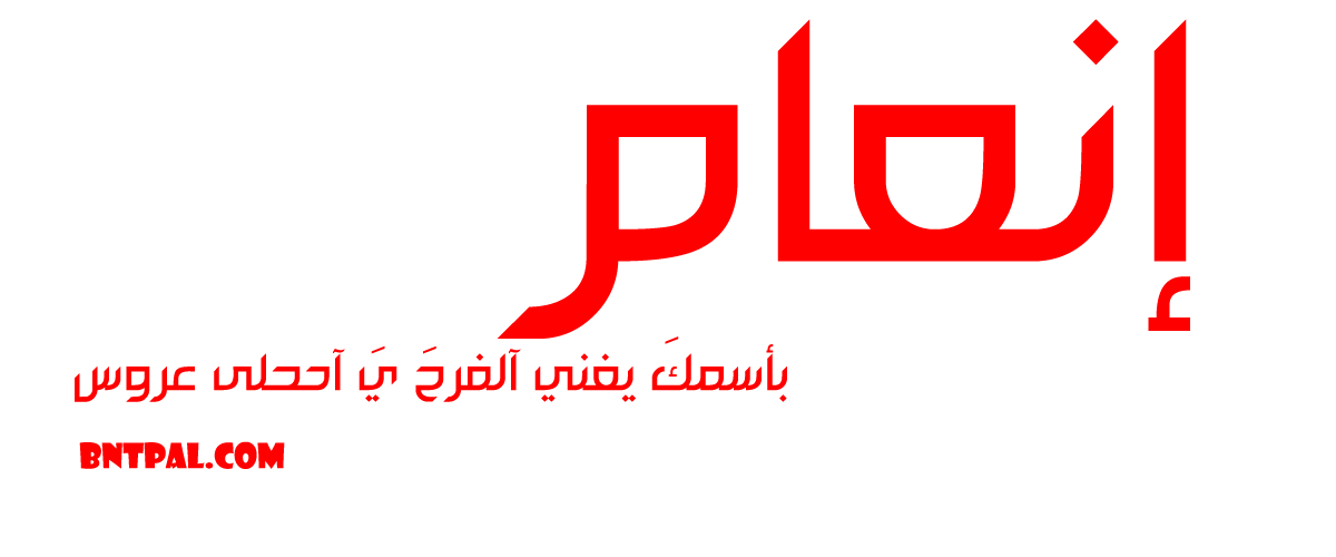 2017 2018 bntpal.com_147414690