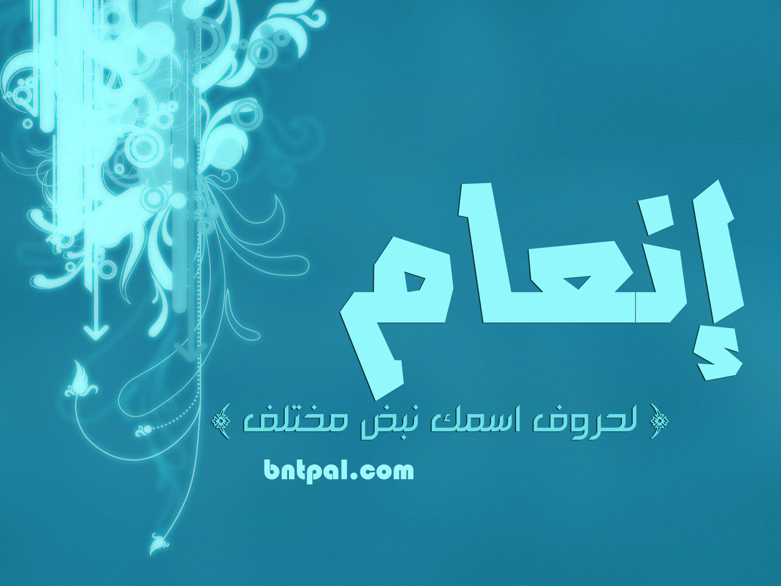 2017 2018 bntpal.com_147414690