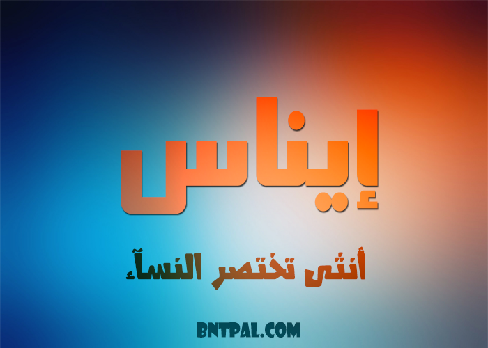 2017 2018 bntpal.com_147414781
