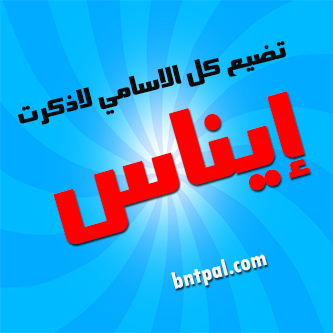 2017 2018 bntpal.com_147414781
