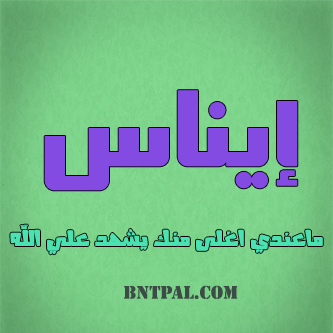 2017 2018 bntpal.com_147414781