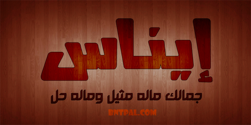 2017 2018 bntpal.com_147414781