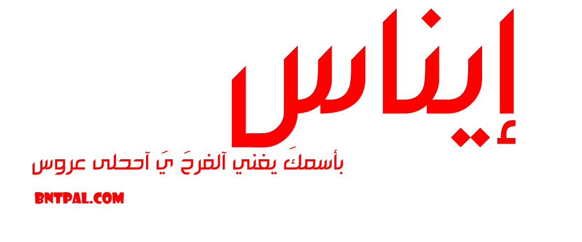 2017 2018 bntpal.com_147414781