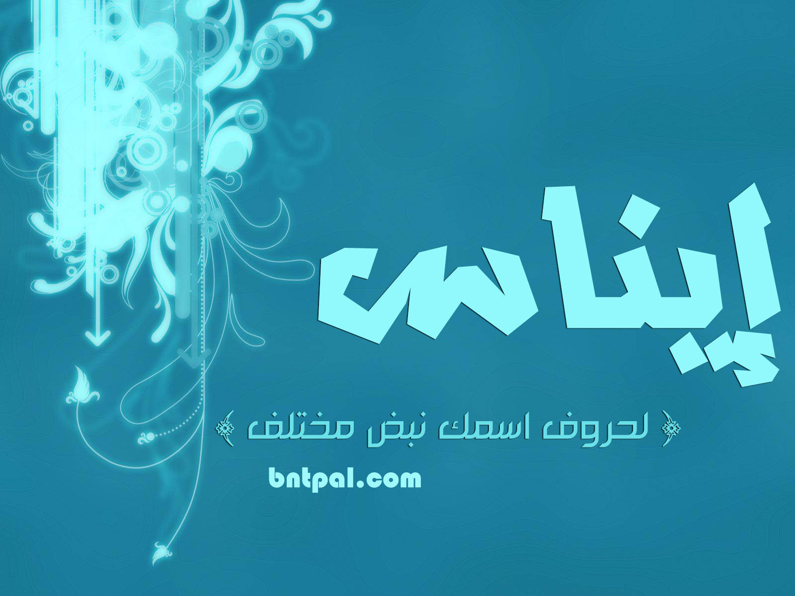 2017 2018 bntpal.com_147414781
