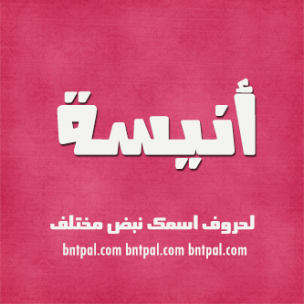 2017 2017 bntpal.com_147414966
