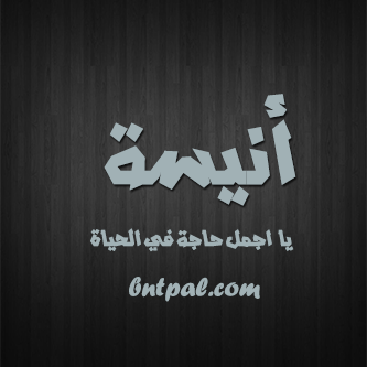 2017 2017 bntpal.com_147414966