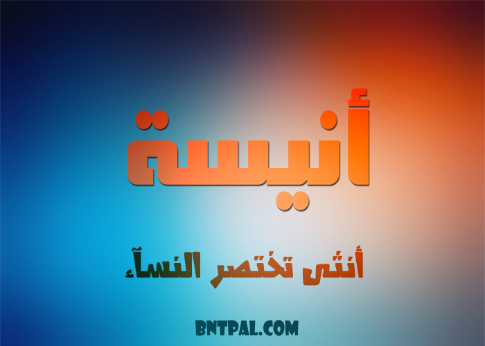 2017 2017 bntpal.com_147414966