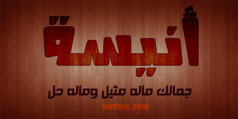 2017 2017 bntpal.com_147414966