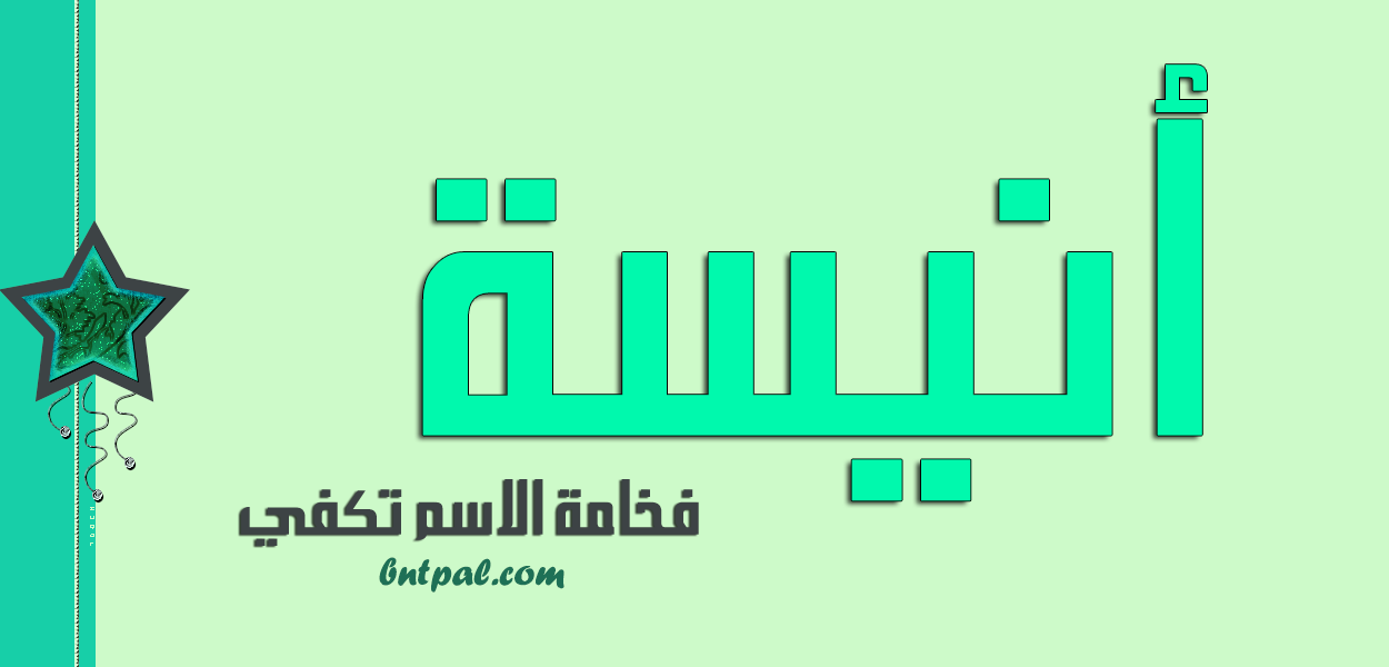 2017 2017 bntpal.com_147414966