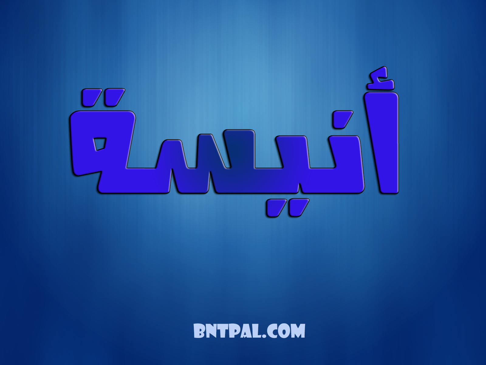 2017 2017 bntpal.com_147414966