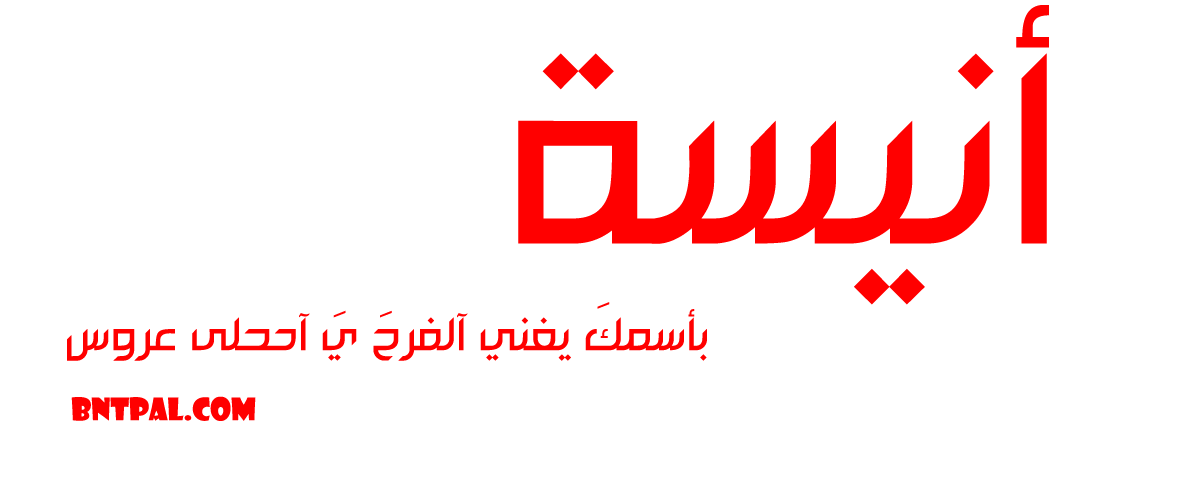 2017 2017 bntpal.com_147414966