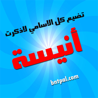 2017 2017 bntpal.com_147414966