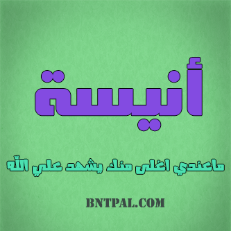 2017 2017 bntpal.com_147414966