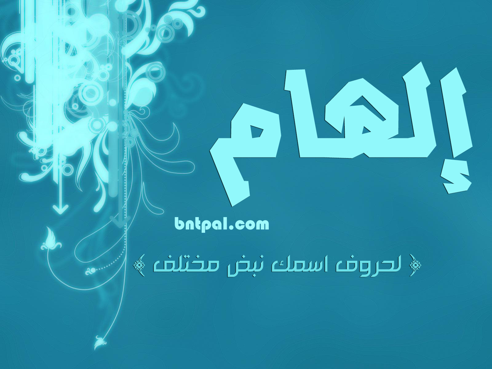 2017 2018 alham 2016 bntpal.com_147423524