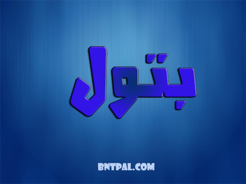 2017 2018 bntpal.com_147423583