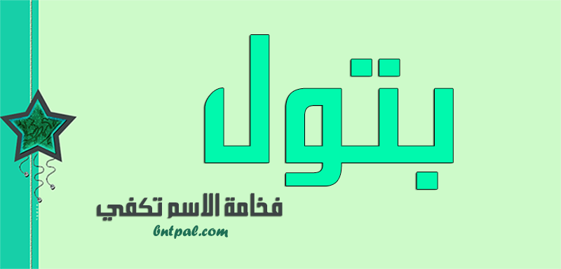 2017 2018 bntpal.com_147423583