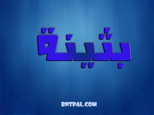 2017 2018 bntpal.com_147423709