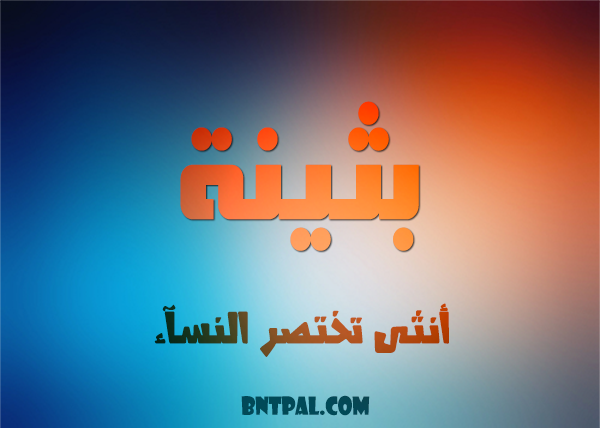 2017 2018 bntpal.com_147423709