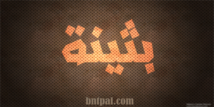 2017 2018 bntpal.com_147423709