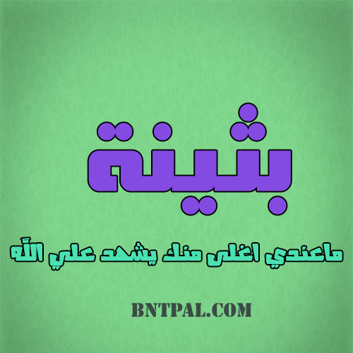 2017 2018 bntpal.com_147423709
