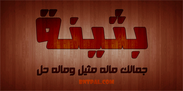 2017 2018 bntpal.com_147423709