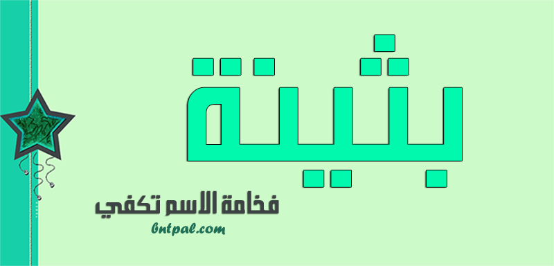 2017 2018 bntpal.com_147423709