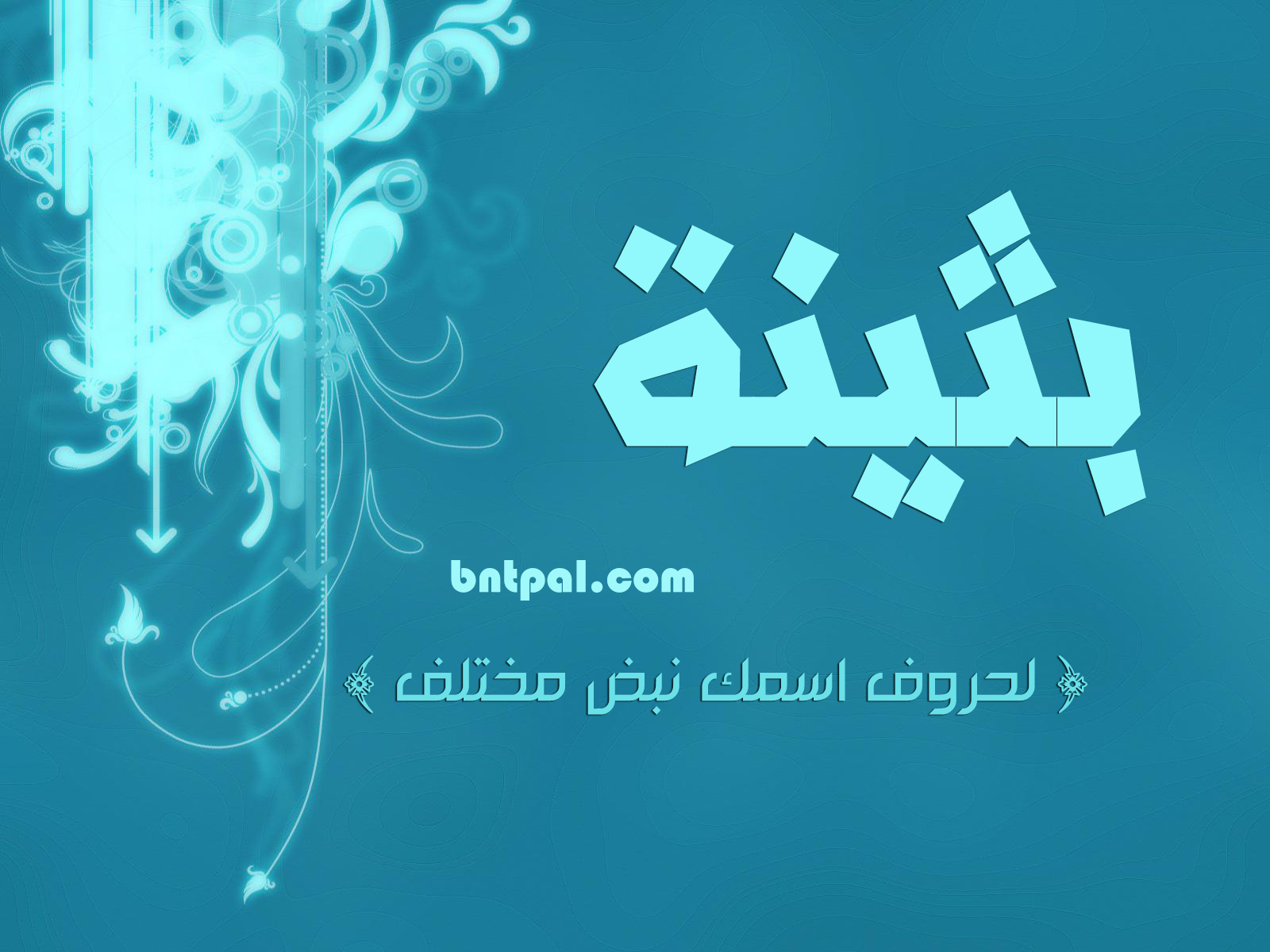 2017 2018 bntpal.com_147423709