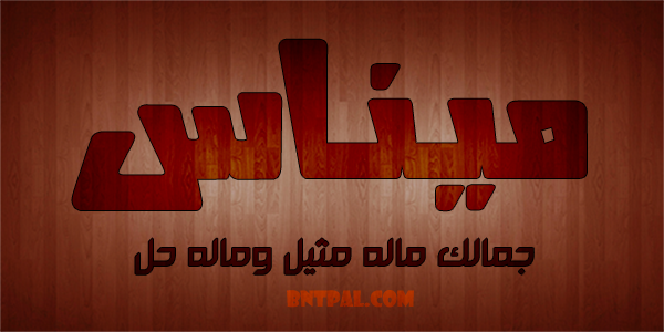 2017 2018 Menas 2016 bntpal.com_147426724