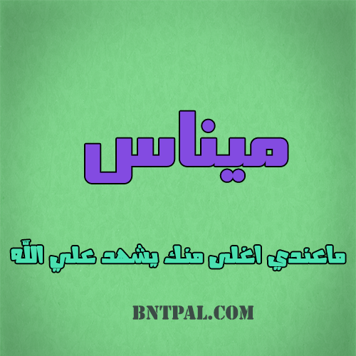 2017 2018 Menas 2016 bntpal.com_147426724